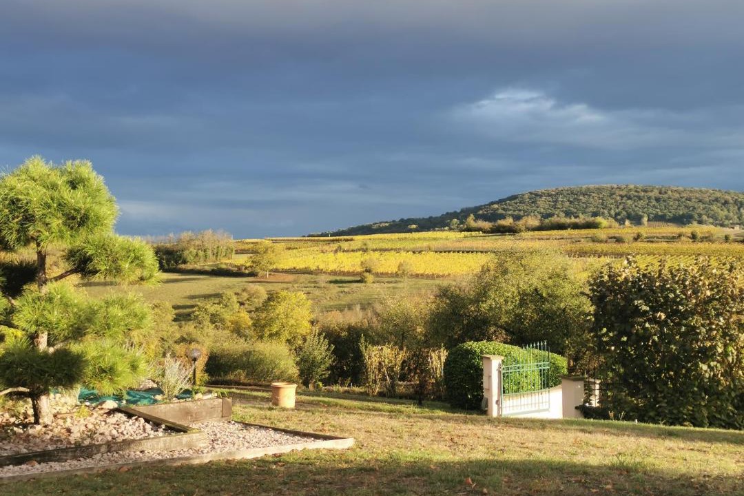 Photo of Others in Rosheim