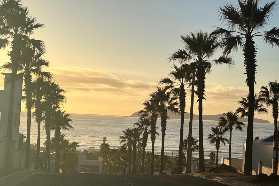 Photo of Others in La Joya