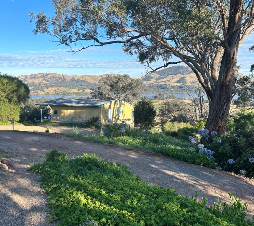 Photo of Others in Mansfield