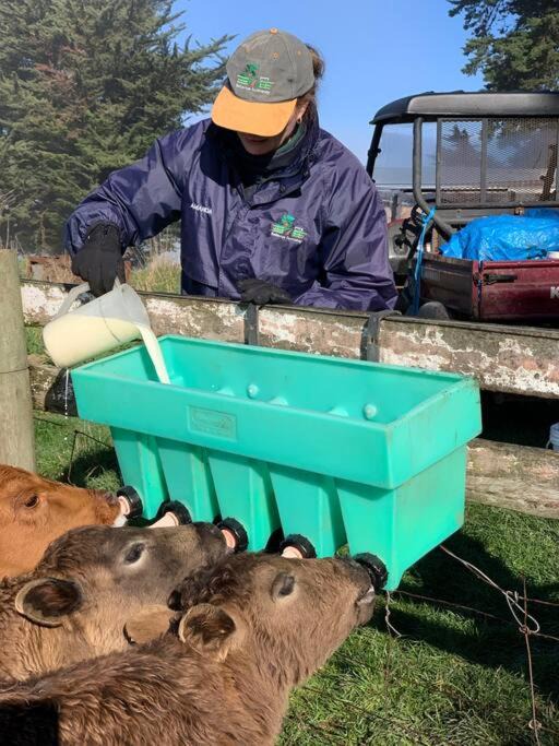 Photo of Others in Scotts Creek