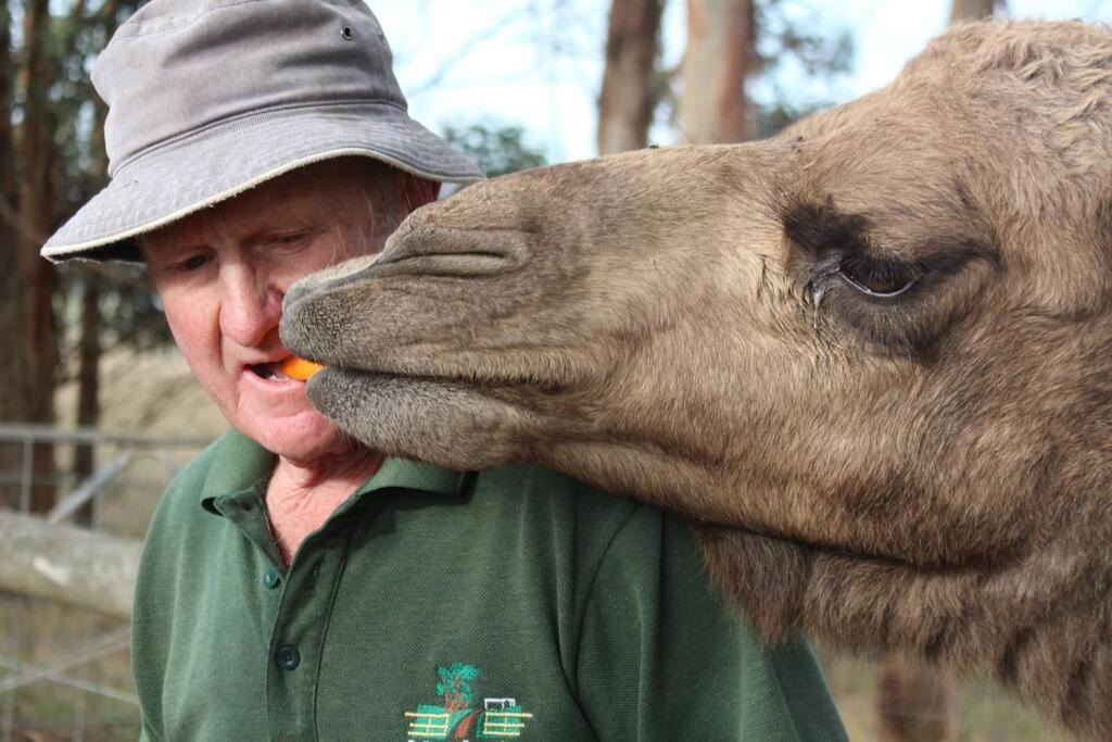 Photo of Others in Scotts Creek