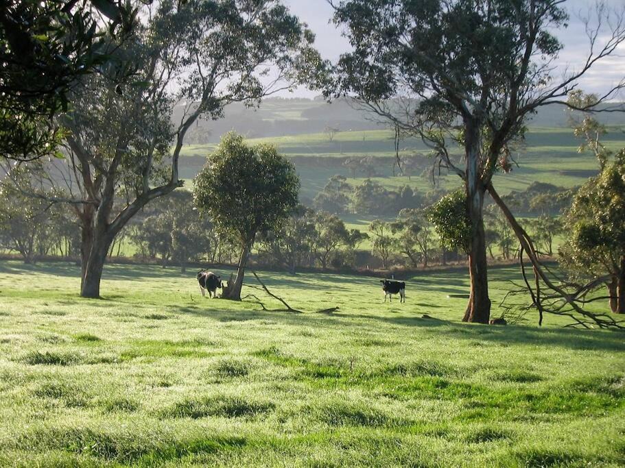 Photo of Others in Scotts Creek