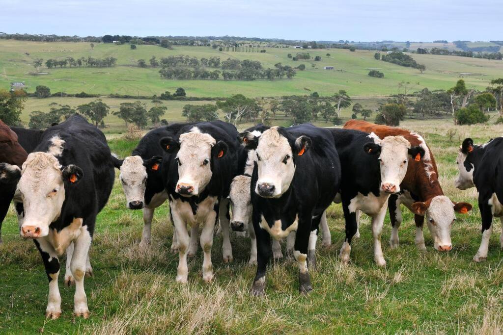 Photo of Others in Scotts Creek