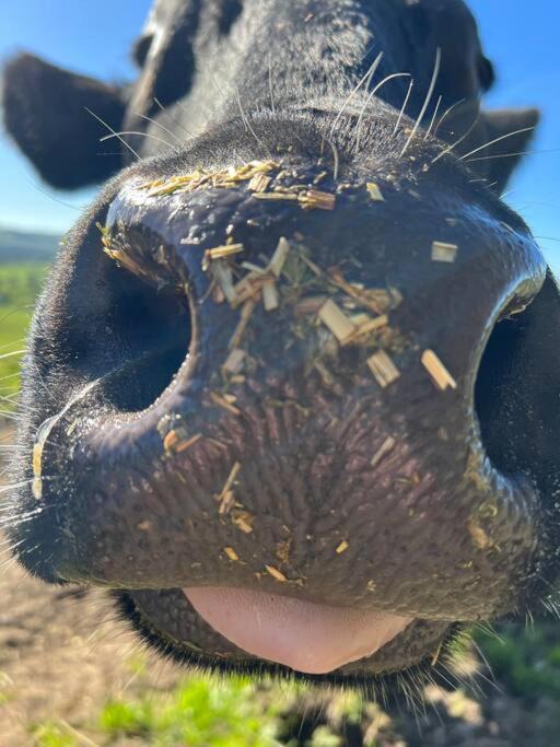 Photo of Others in Scotts Creek