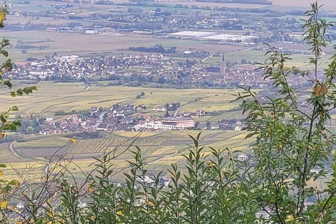 Photo of Others in Rorschwihr