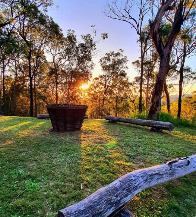 Photo of Others in Cessnock City Council