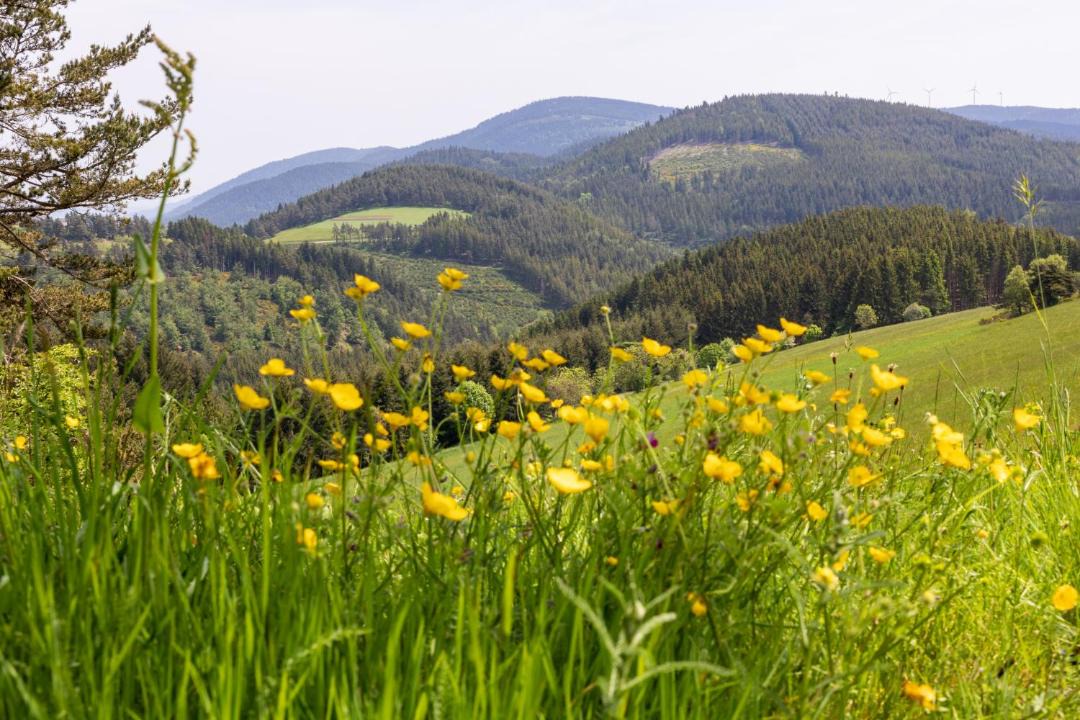Photo of Others in Saint-Bonnet-le-Froid