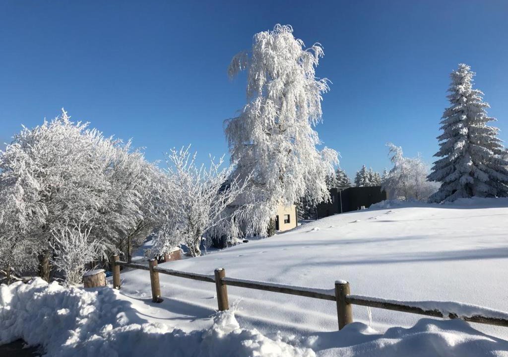 Photo of Others in Saint-Bonnet-le-Froid