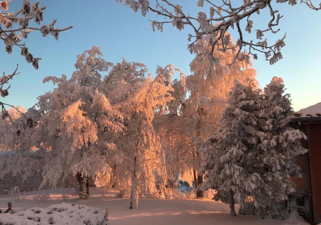 Photo of Others in Saint-Bonnet-le-Froid