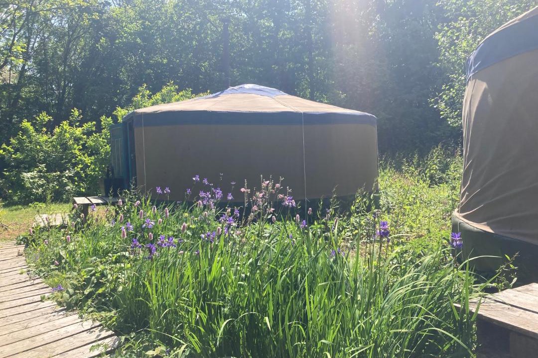 Photo of Others in Rye