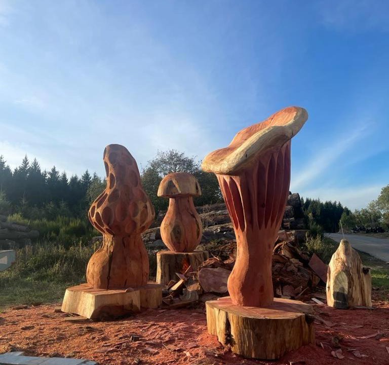 Photo of Others in Saint-Bonnet-le-Froid