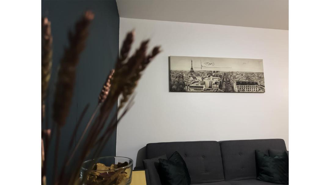 Photo of Livingroom in Le Kremlin-Bicetre