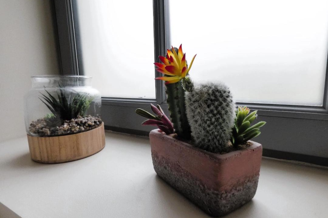 Photo of Others in Gizeux