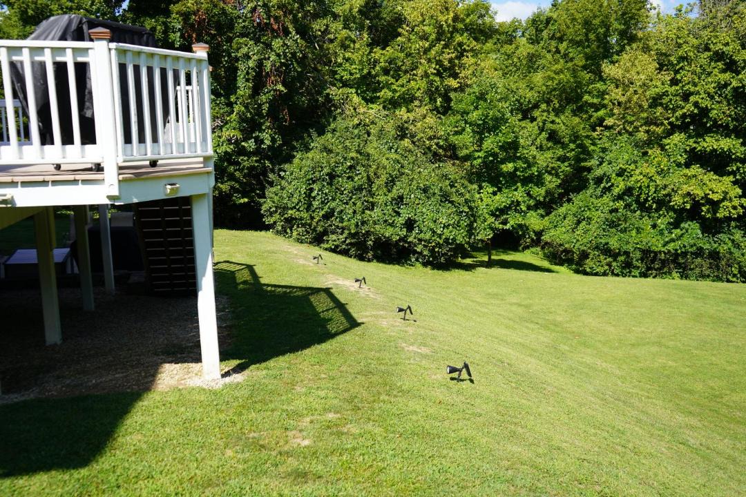 Photo of Others in Hebron