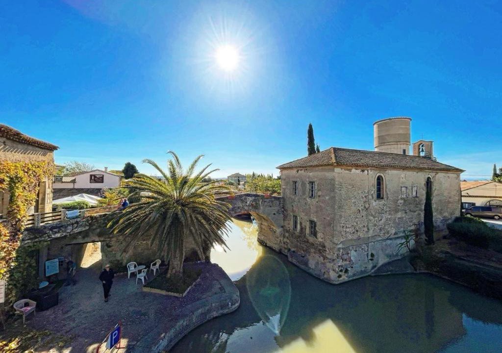 Photo of Others in Le Somail