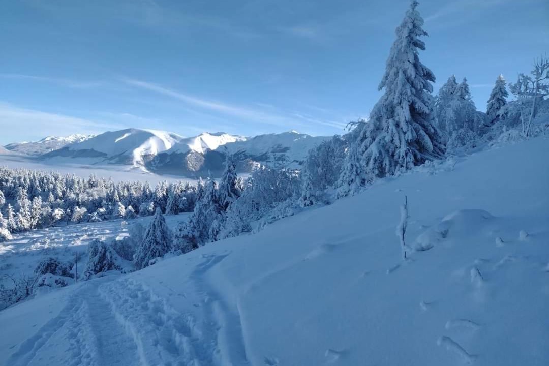 Photo of Others in La Mure