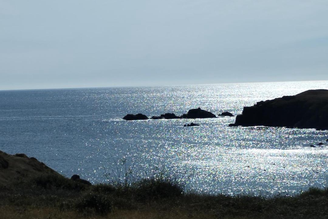 Photo of Others in Pornic
