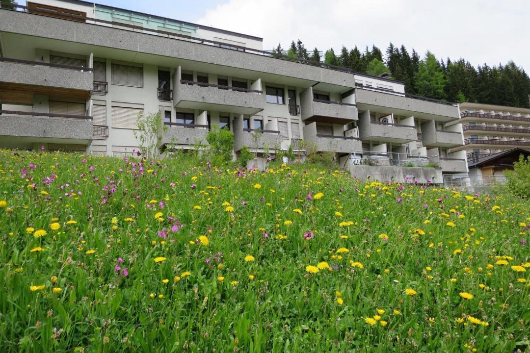 Photo of Others in Arosa