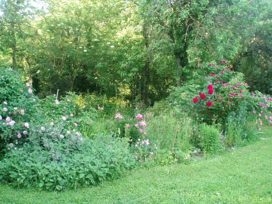 Photo of Others in Balnot-sur-Laignes