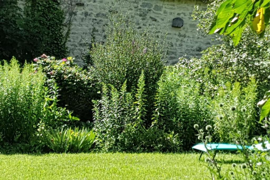 Photo of Others in Balnot-sur-Laignes