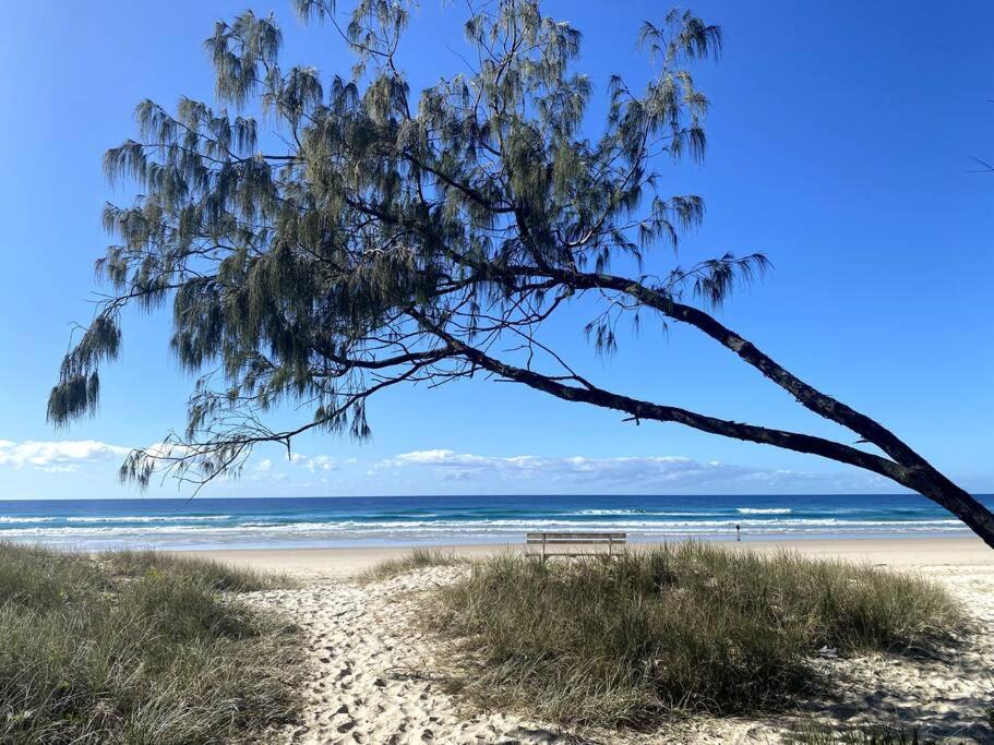 Photo of Others in Kingscliff