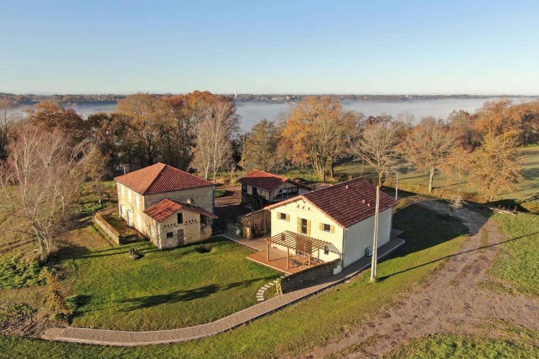 Photo of Others in Bats