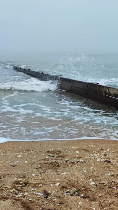 Photo of Others in Houlgate