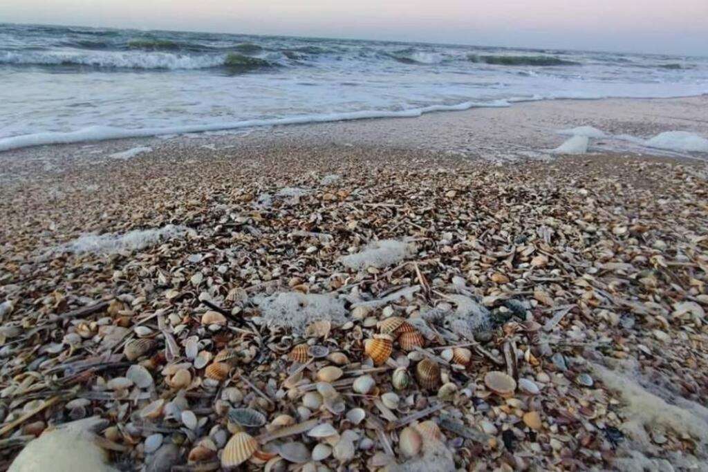 Photo of Others in Houlgate