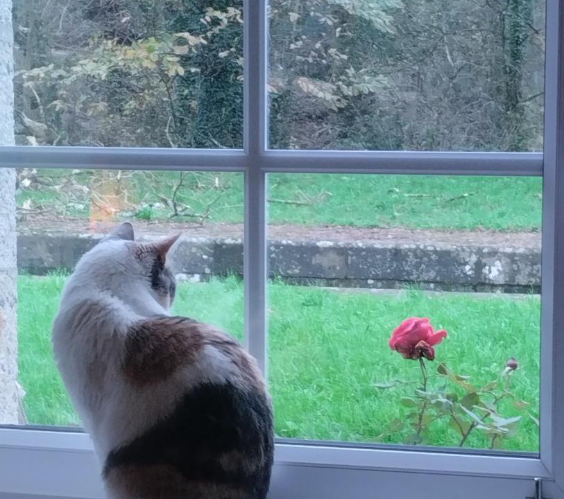 Photo of Others in Carhaix-Plouguer