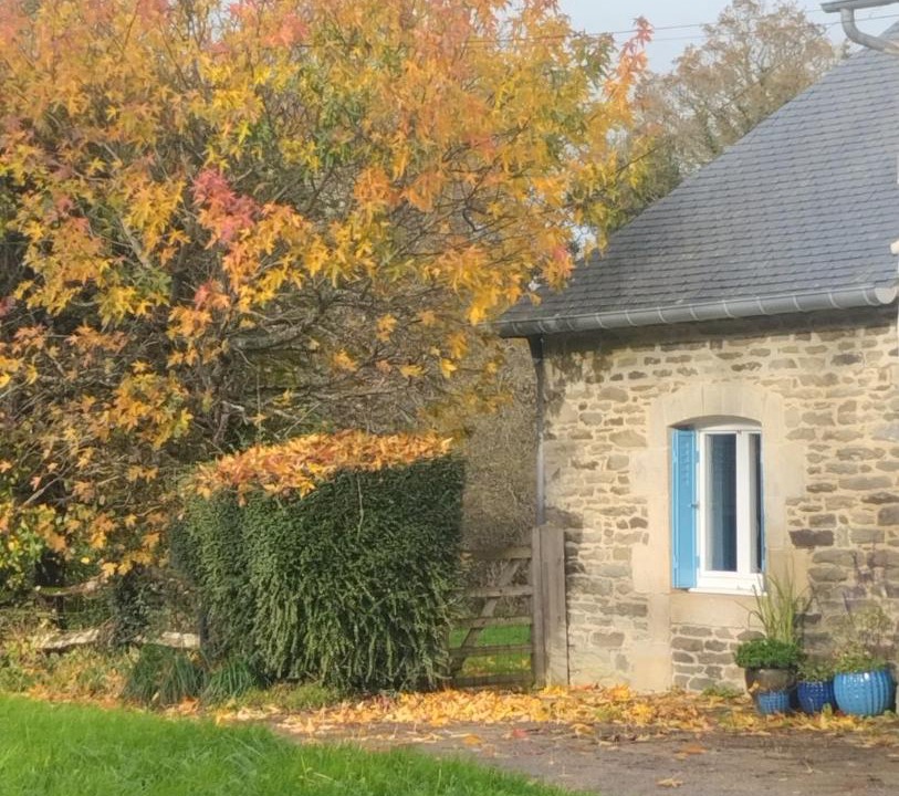 Photo of Others in Carhaix-Plouguer