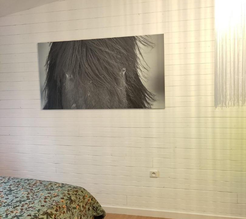 Photo of Others in Sparsbach