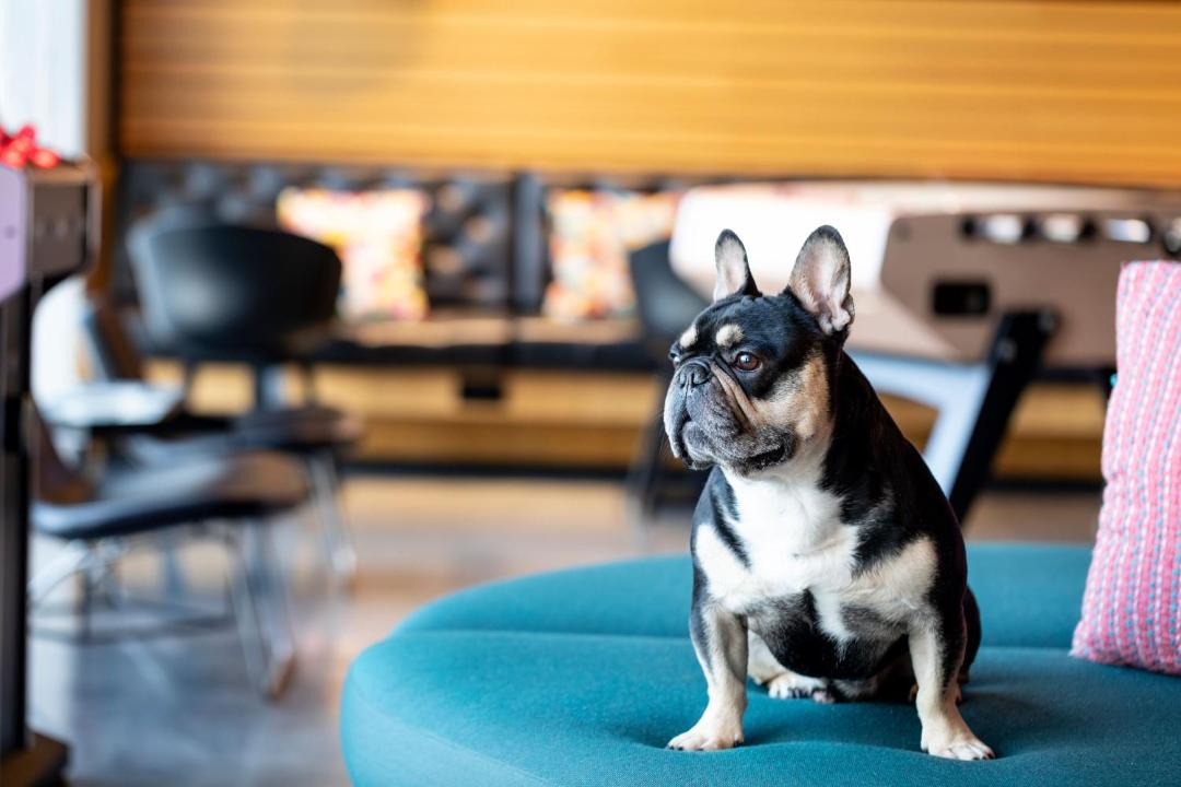 Photo of Others in Dyce