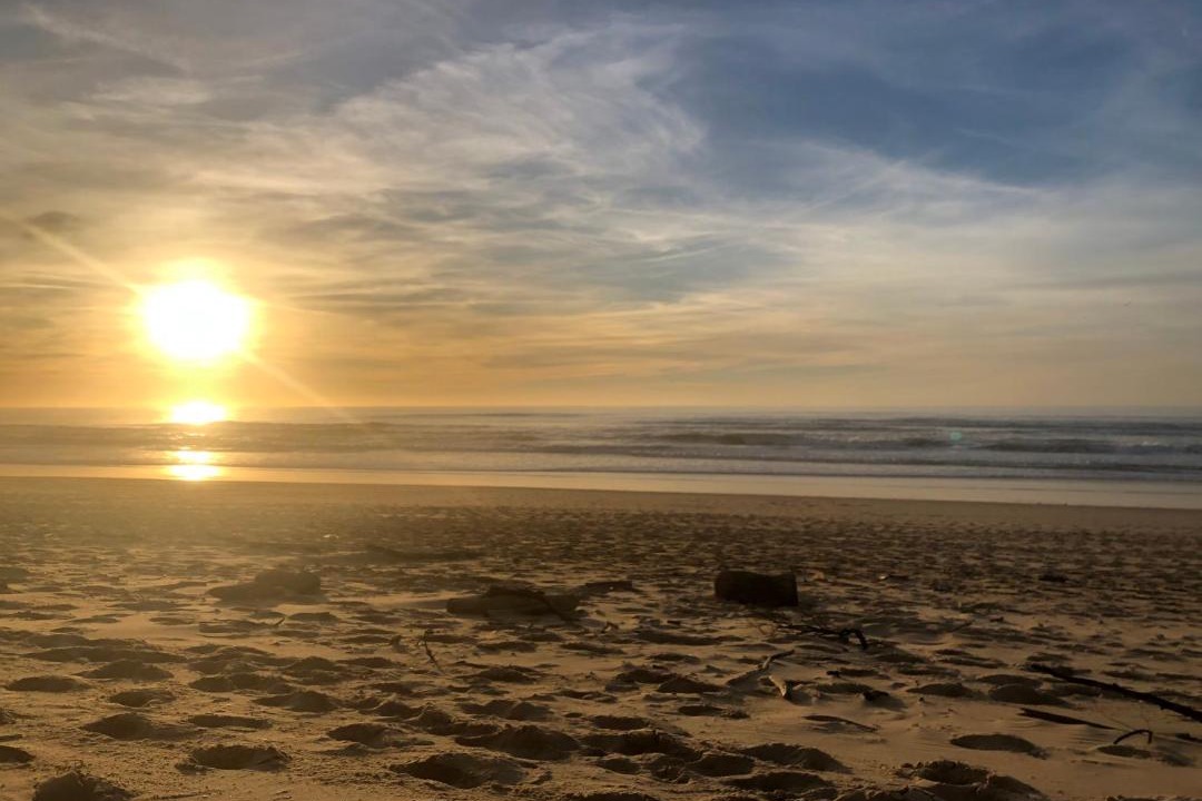 Photo of Others in Leon