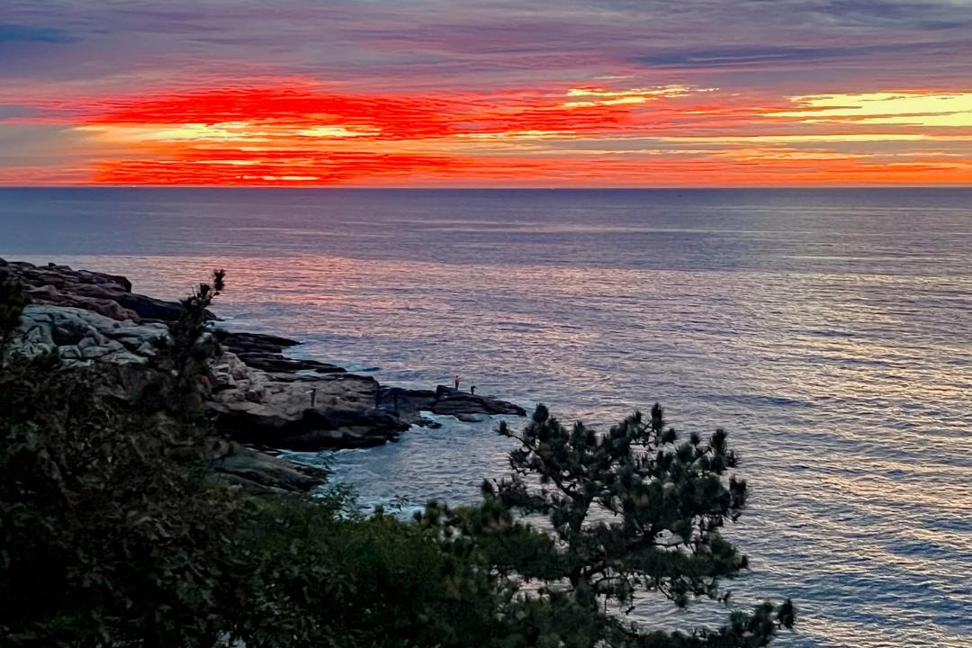 Photo of Others in Gloucester