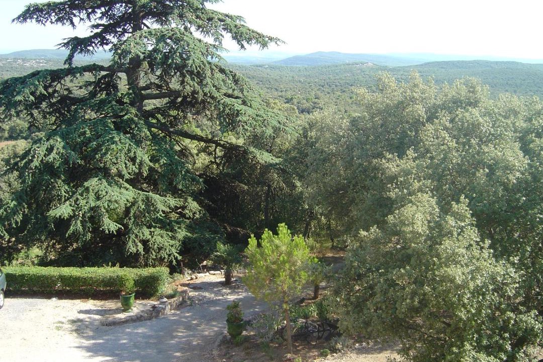 Photo of Others in Argelliers