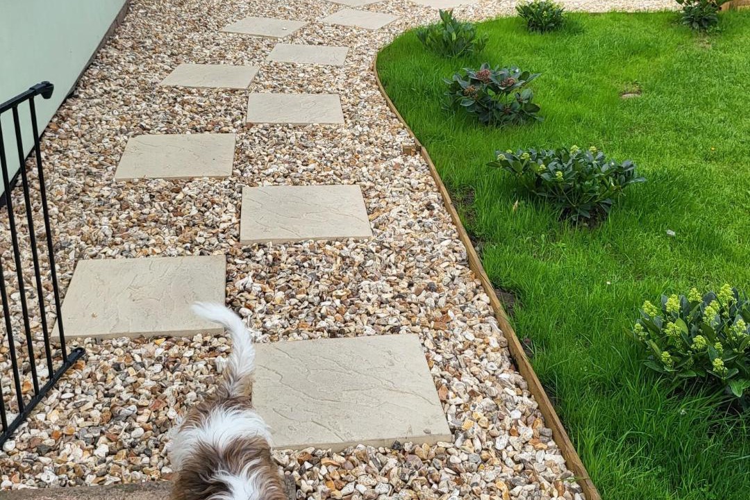 Photo of Others in Shaftesbury