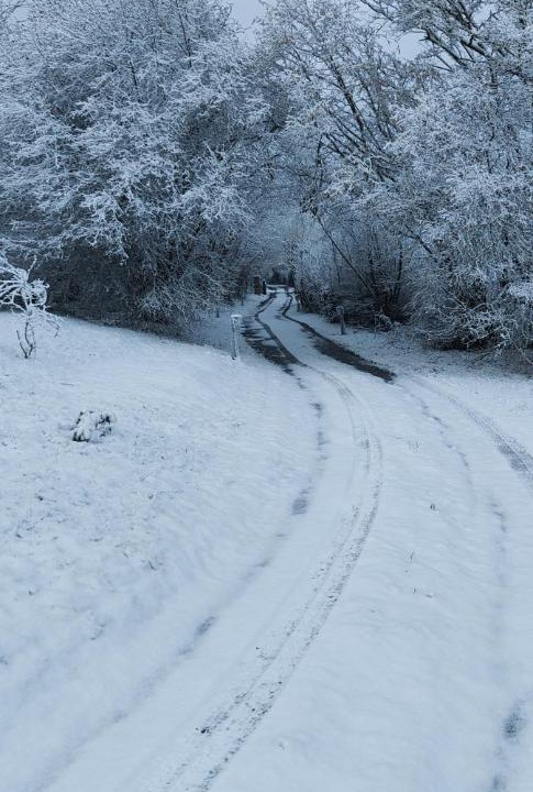 Photo of Others in Le Mesnil-Germain