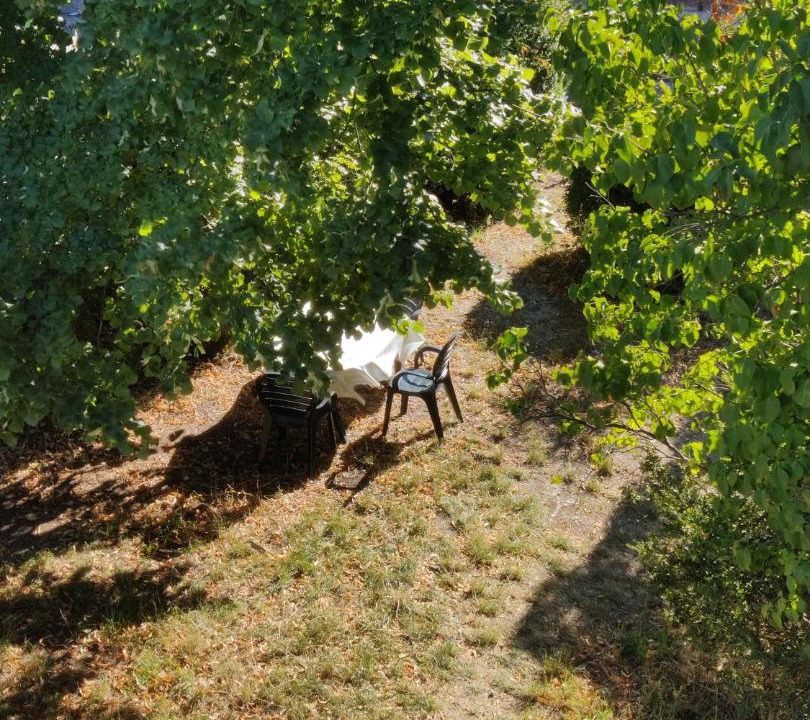 Photo of Others in Molieres-Cavaillac