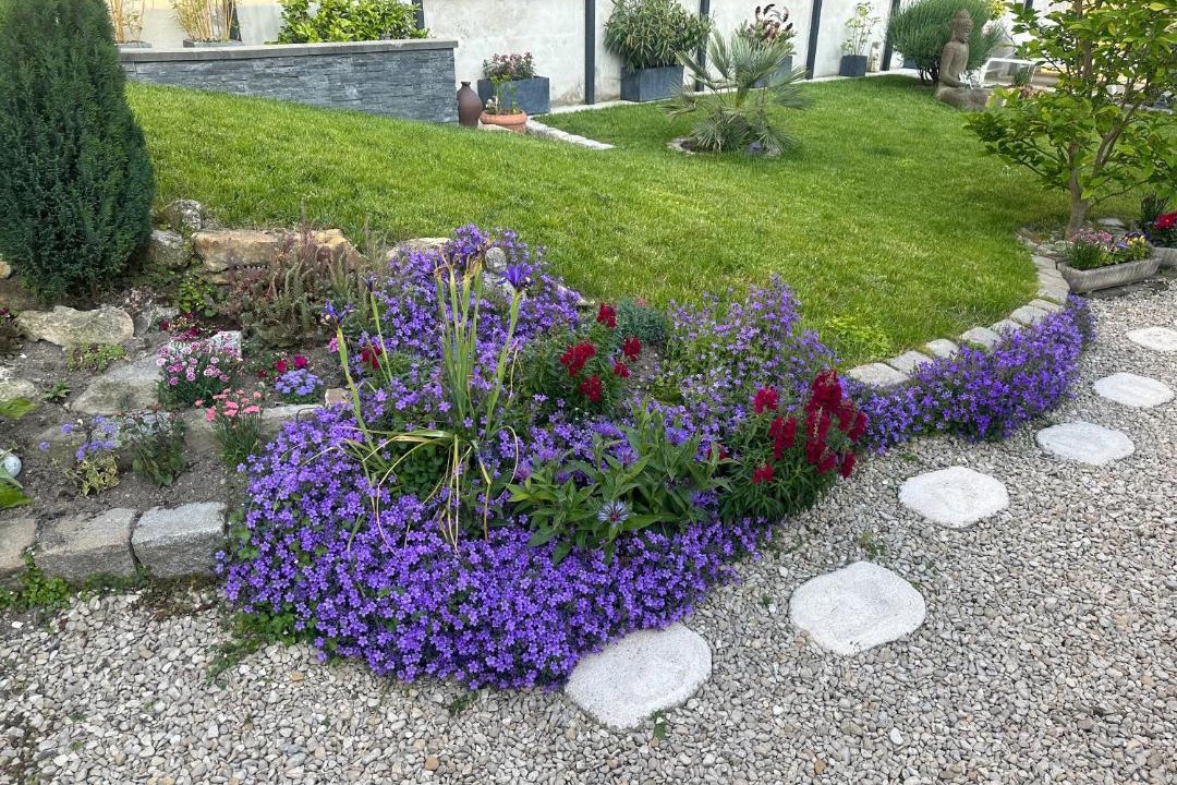 Photo of Outdoor in Reims