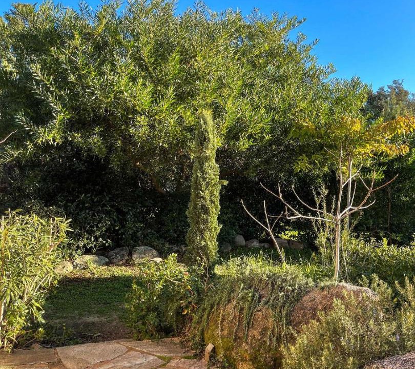 Photo of Others in Santa Giulia