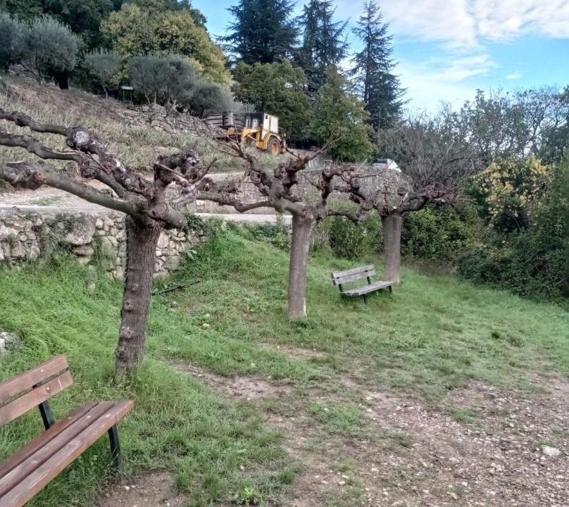 Photo of Others in Molieres-Cavaillac