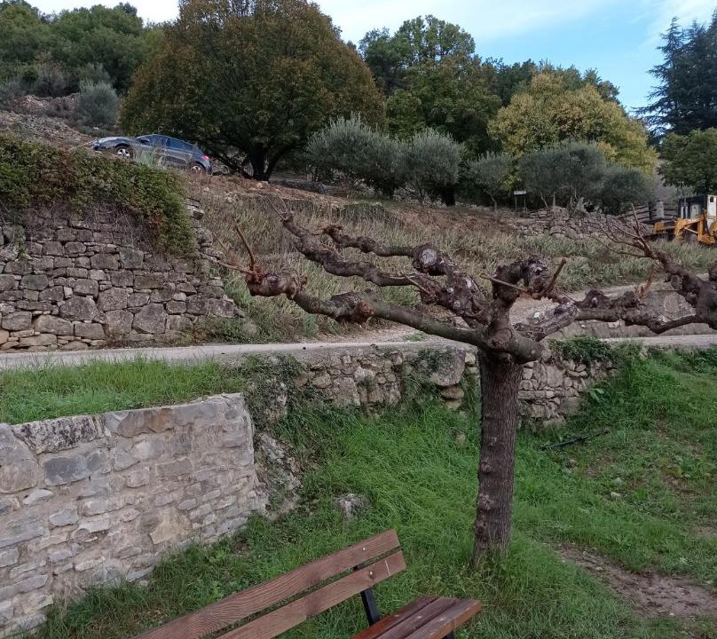 Photo of Others in Molieres-Cavaillac