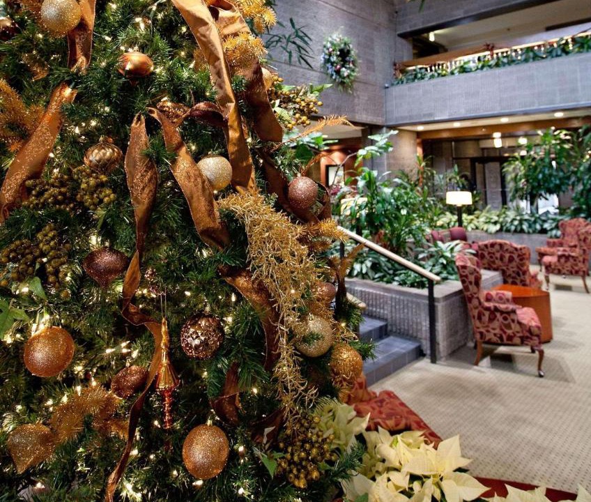 Photo of Others in Gaffer District