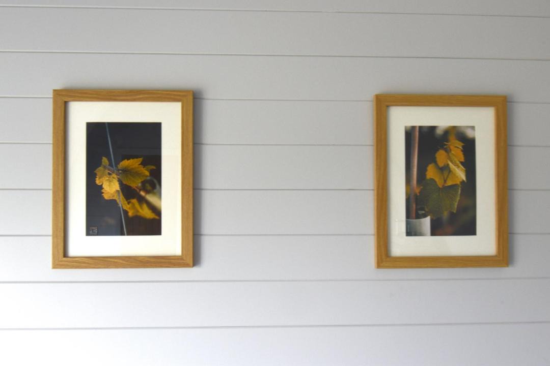 Photo of Others in Stanton on the Wolds