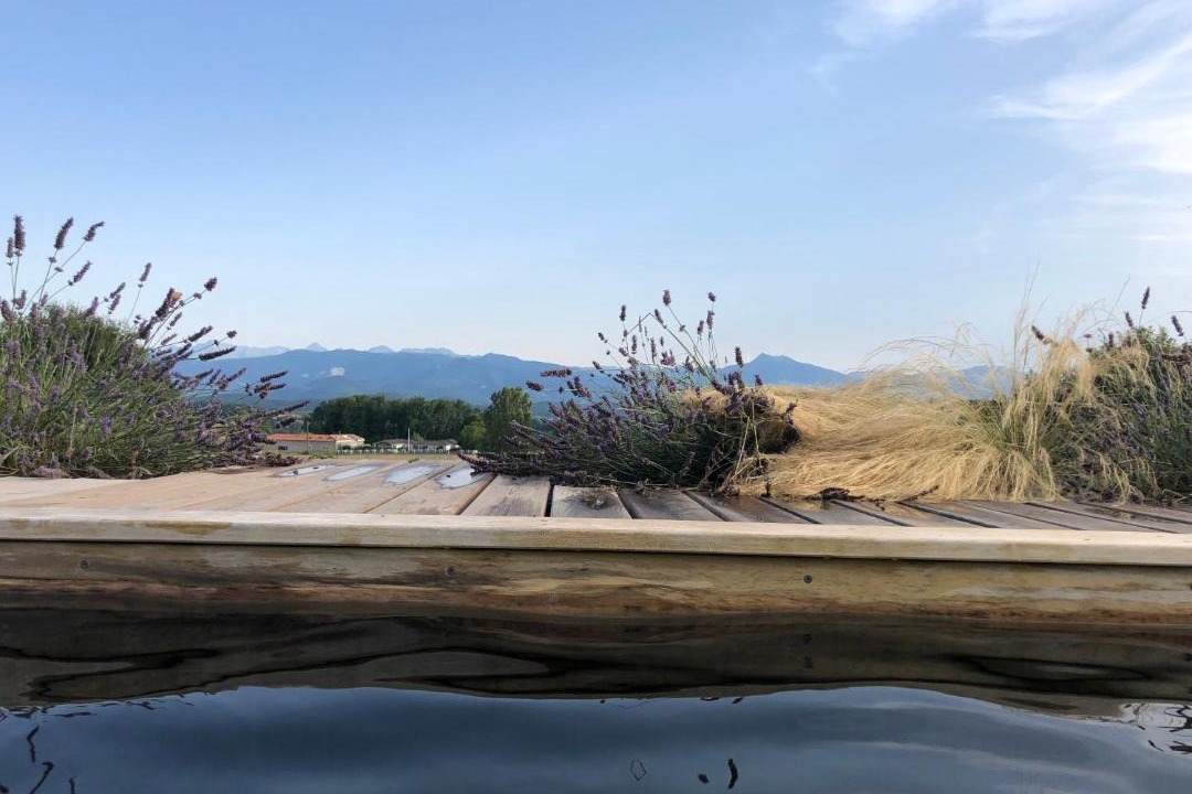 Photo of Others in Sepx