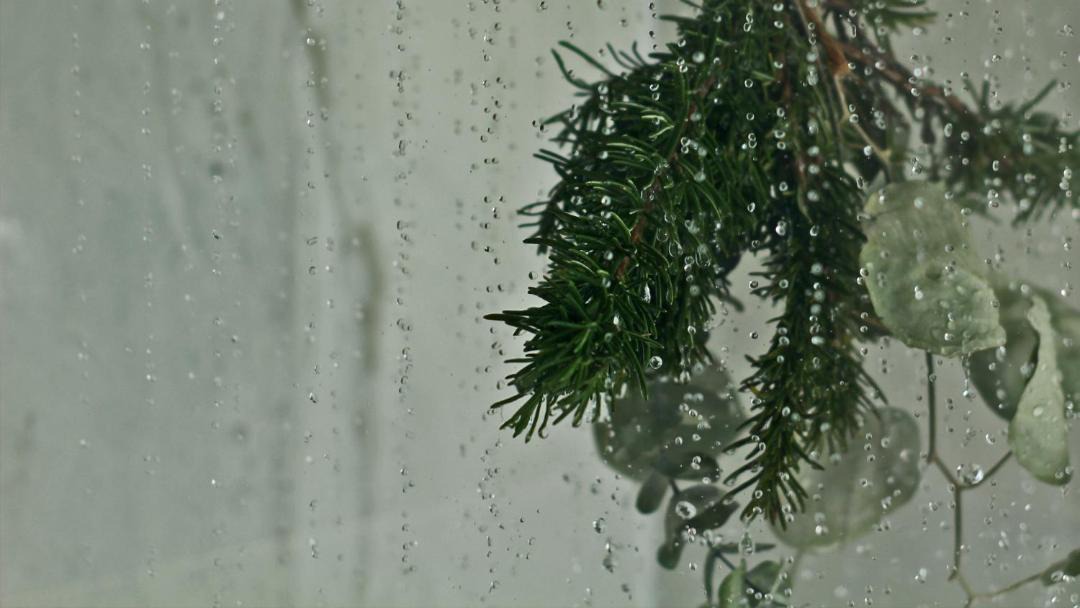 Photo of Others in La Joya