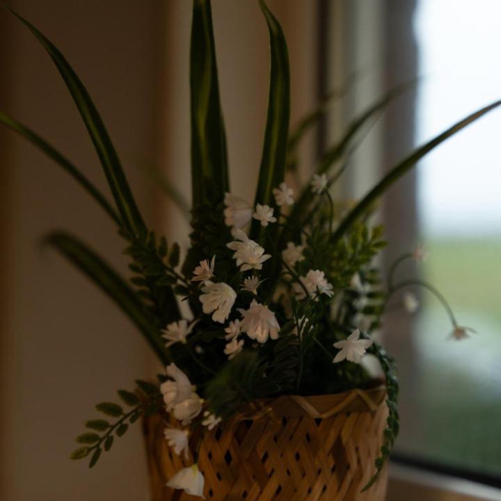 Photo of Others in Bishopton