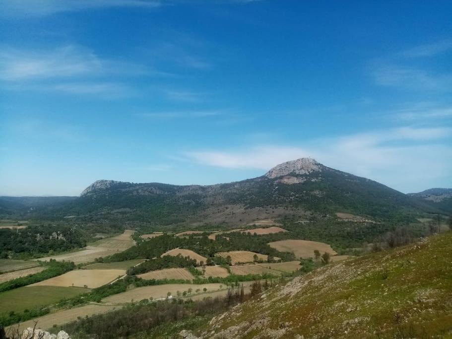 Photo of Others in Cabrieres