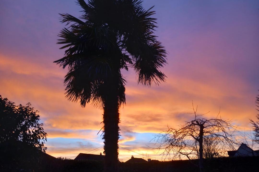 Photo of Others in Ballon