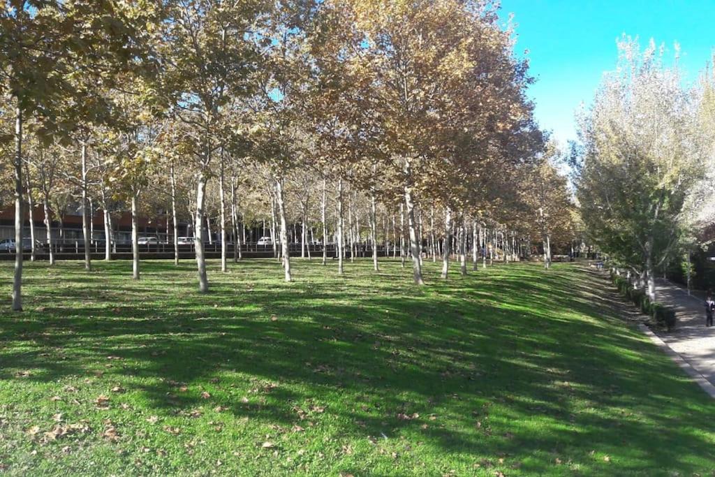 Photo of Others in Sant Cugat del Valles